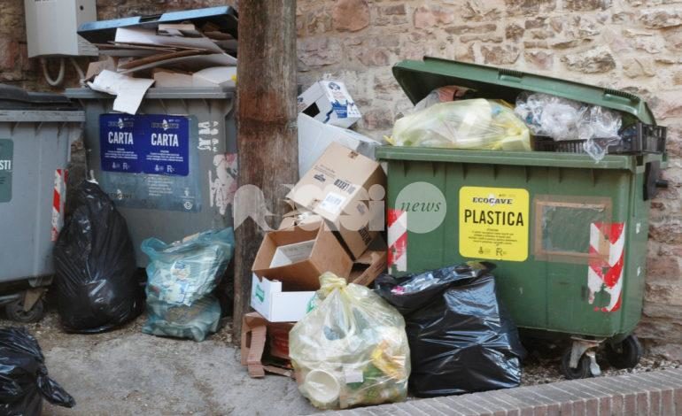 Rifiuti, Comune di Assisi ed Ecocave per una maggiore pulizia: tutte le novità