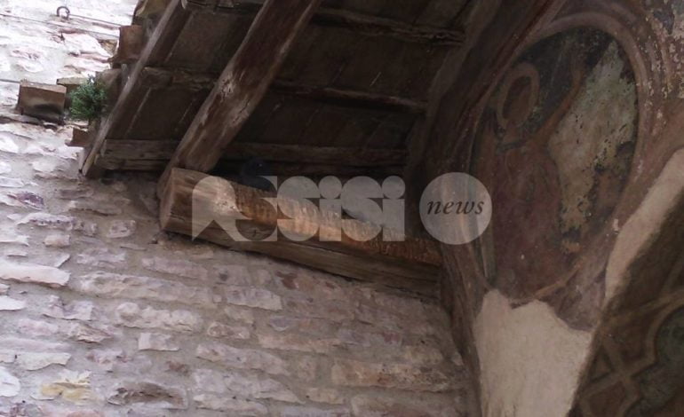 Edicola di Pace di Bartolo ad Assisi, staccati pezzi di intonaco