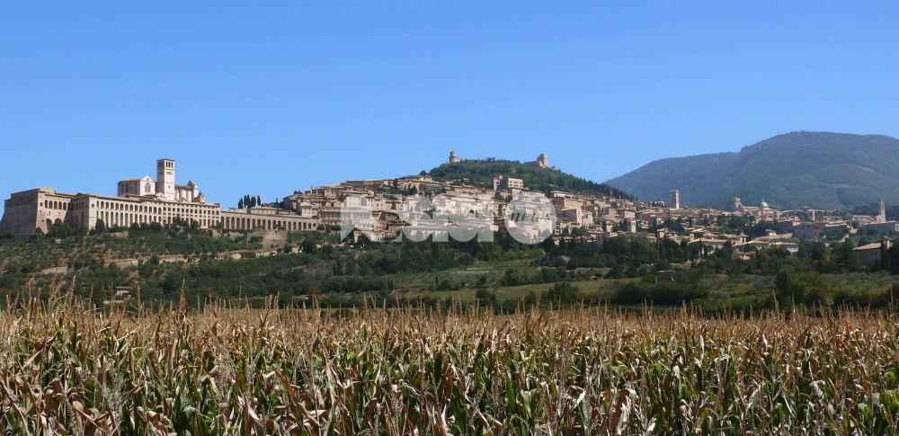 Terremoto Centro Italia, l'appello di Assisi e Perugia: "Si dica che l'Umbria è sicura"