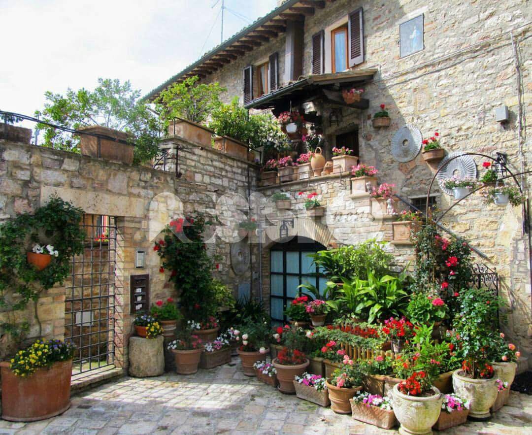 Infiorate e balconi fioriti 2016: tutti i premiati ad Assisi