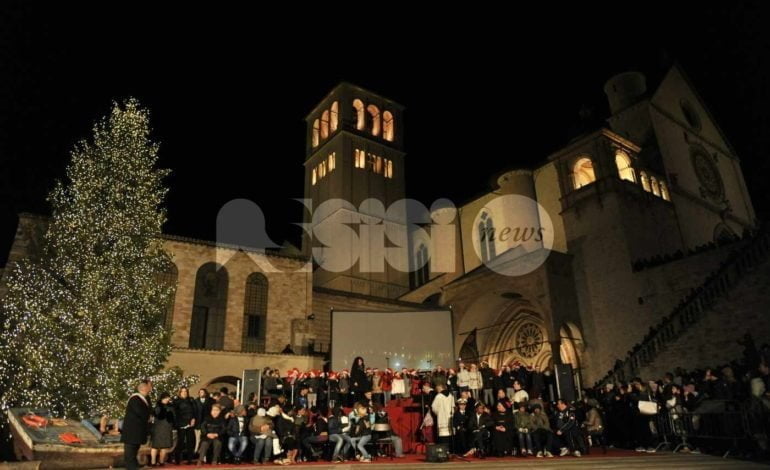 Albero di Natale Basilica San Francesco, accensione con sindaco Betlemme