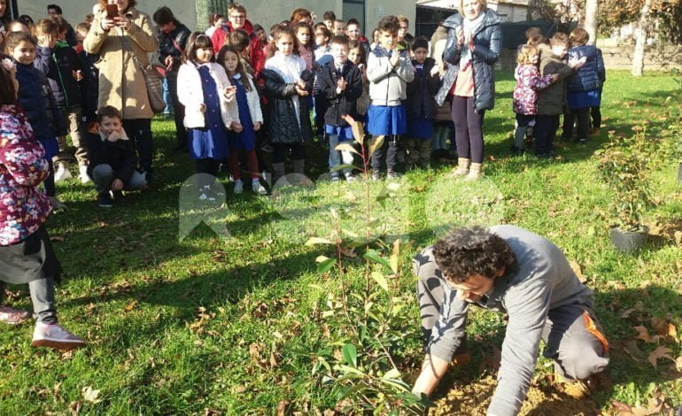 Festa dell’albero 2016, la primaria Palazzo arricchisce giardino della scuola