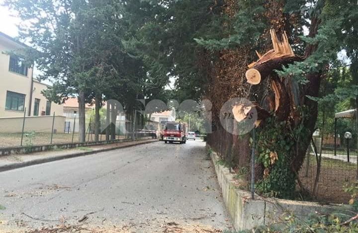 Vento forte ad Assisi e Bastia Umbra: danni e disagi (foto)