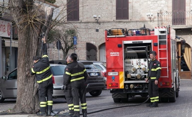 Albero va a fuoco a Santa Maria, intervengono i pompieri di Assisi