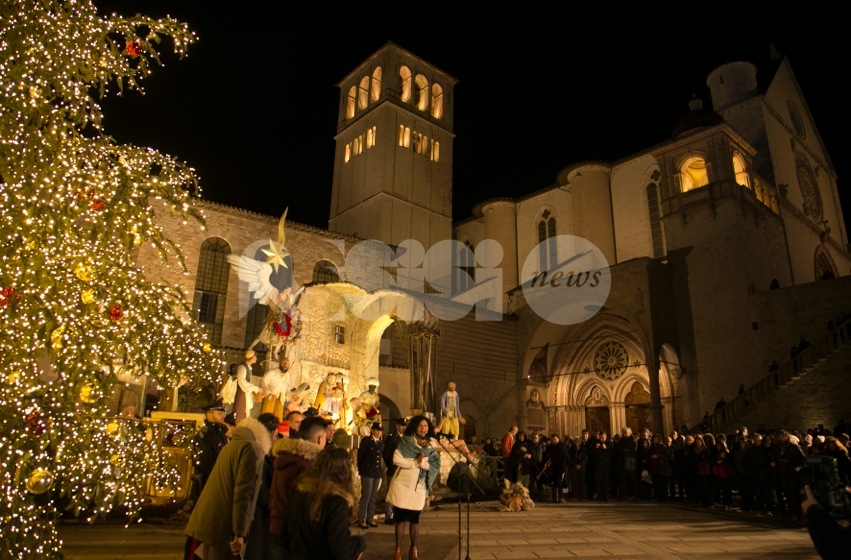 Acceso l'albero di Natale 2018 della Basilica di San Francesco ad Assisi (FOTO)