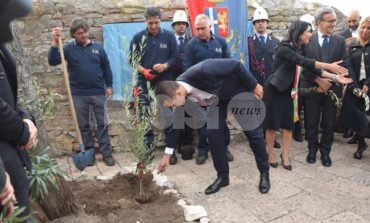 Luigi Di Maio ad Assisi pianta un albero di pace e chiude le celebrazioni francescane (foto)