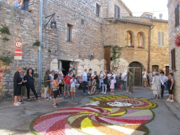 Infiorate 2017 ad Assisi: la magia dei quadri nei vicoli di Piazza Nova