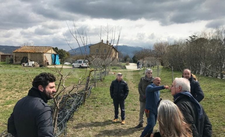 Tanti partecipanti al corso sulla potatura degli alberi da frutto dell’Assisi Nature Council