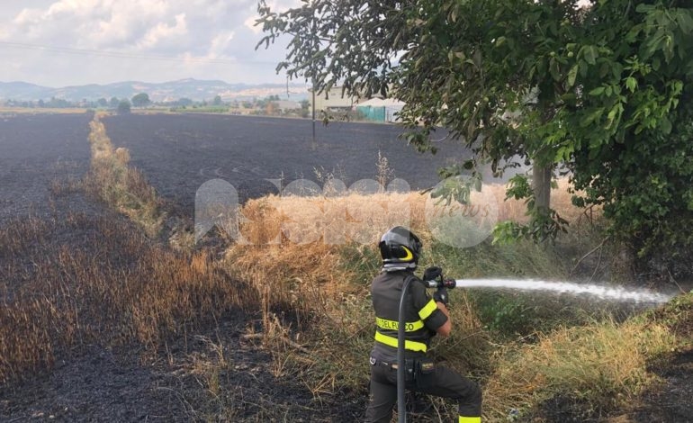 Campo di grano a fuoco tra Tordandrea e Bettona (fotogallery)