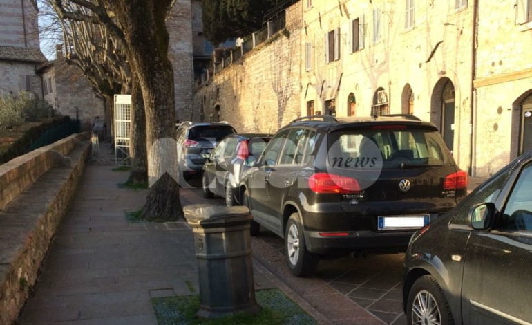 Alberi tagliati a Borgo Aretino, appello alla giunta di Assisi: “Nuove piante subito”