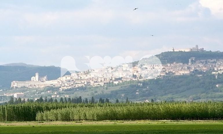 La Strada dell’Olio Dop Umbria partecipa a L’Umbria si rimette in moto: gli itinerari