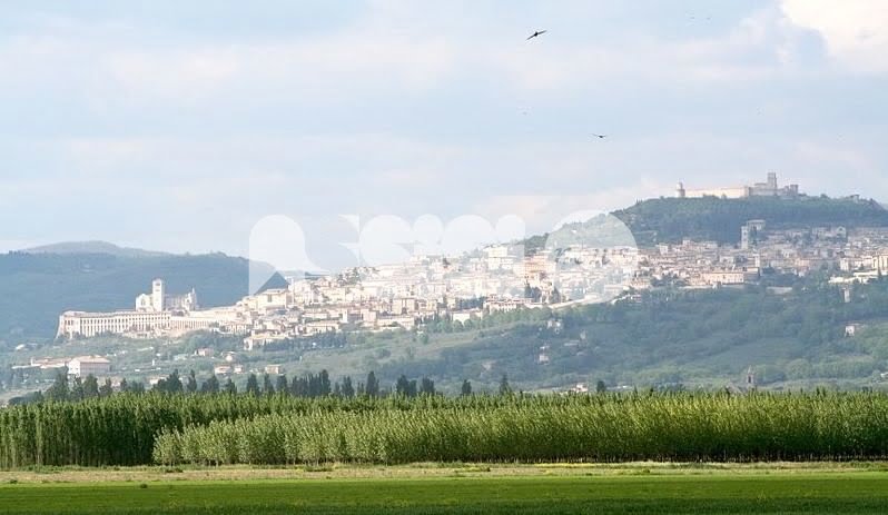 La Strada dell'Olio Dop Umbria partecipa a L'Umbria si rimette in moto: gli itinerari