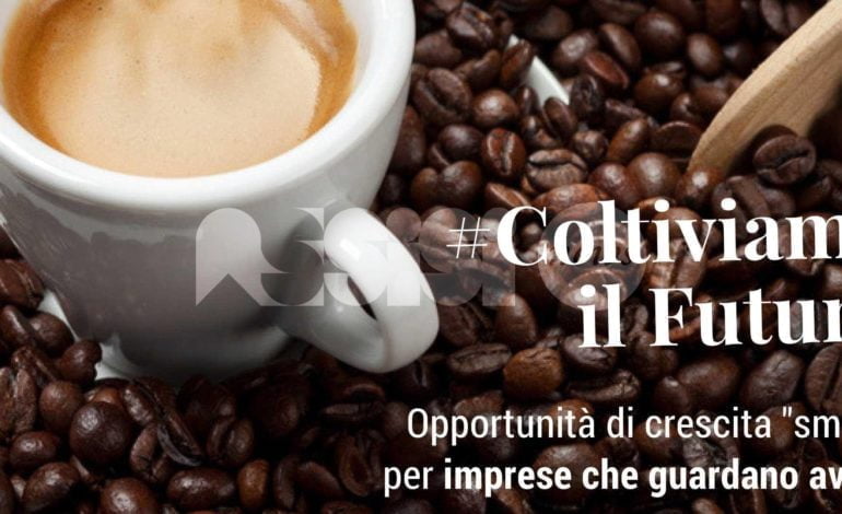 Corso di caffetteria gratuito ad Assisi: organizza la Confcommercio