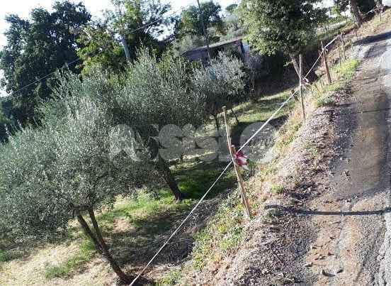 Perdita d’acqua a Capodacqua d’Assisi: la denuncia di alcuni residenti