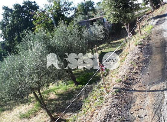 Assisi, riparata la perdita di acqua in via del Collicello: il grazie di Masciolini