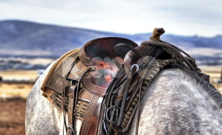 Nasce l’ippovia Assisi Gubbio: 50 km da percorrere a cavallo