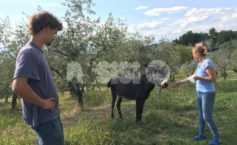 Nicola Winkler e il suo asino, il viaggio ‘slow’ fa tappa ad Assisi