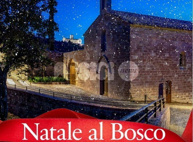 Natale al Bosco di San Francesco ad Assisi 2017, gli appuntamenti del Fai