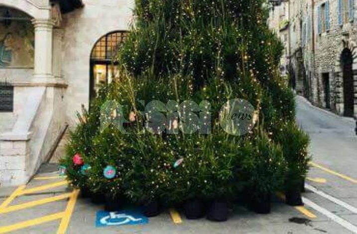 L’albero di Natale di Assisi nel posto per disabili, il sindaco risponde