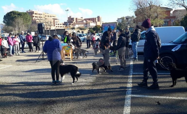 Grande successo a Bastia Umbra per l’Umbria cammina dog edition