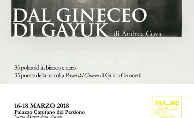 Dal Gineceo di Gayuk – polaroid di Andrea Cova in mostra ad Assisi