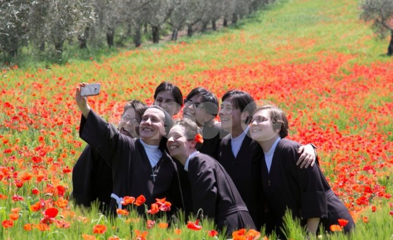 Suore tra i papaveri, fede e natura in uno scatto da Assisi