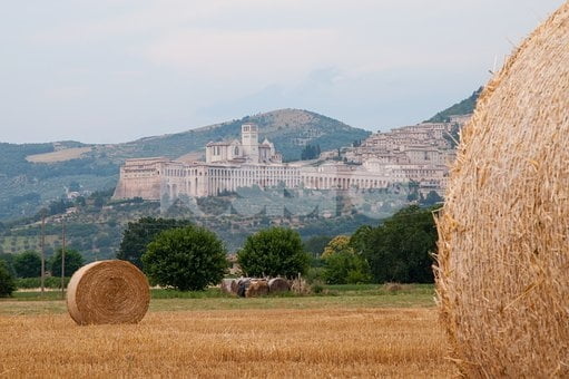 Pd Assisi, Assisi Domani e Assisi Civica: “Da Salvini tante chiacchiere e pochi contenuti, è impreparato”