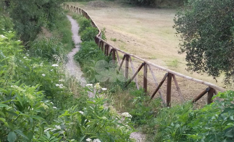 Il percorso verde di Ponte San Vittorino invaso dalle erbacce: la segnalazione