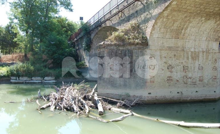 Rino Freddii: “Ponte di Petrignano, degrado ambientale e architettonico”