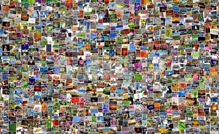 Un Magnifico collage: in Parte de Sotto 250 foto in un pannello di quasi tre metri per due