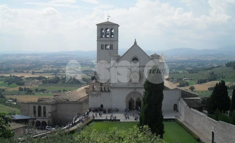 All’Archivio di Stato di Assisi l’iniziativa L’olivo nella terra di San Francesco
