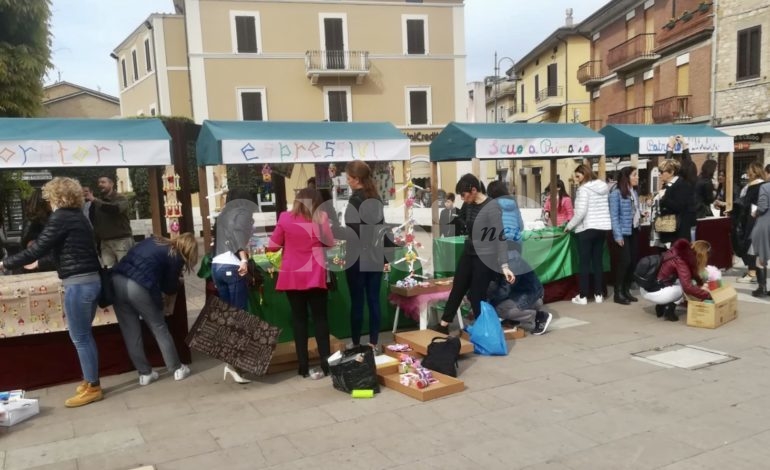 Le Rose per Dono 2019, oggi l’ultima giornata: protagonista la scuola “Patrono d’Italia”