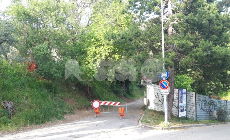 Quercia caduta in via Perosi, strada chiusa da 20 giorni: l’albero è ancora lì