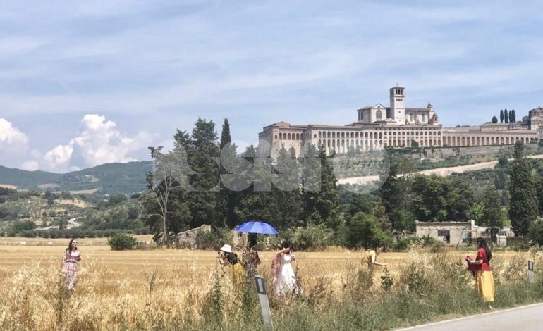 I campi di grano con vista su Assisi come la piana di Castelluccio