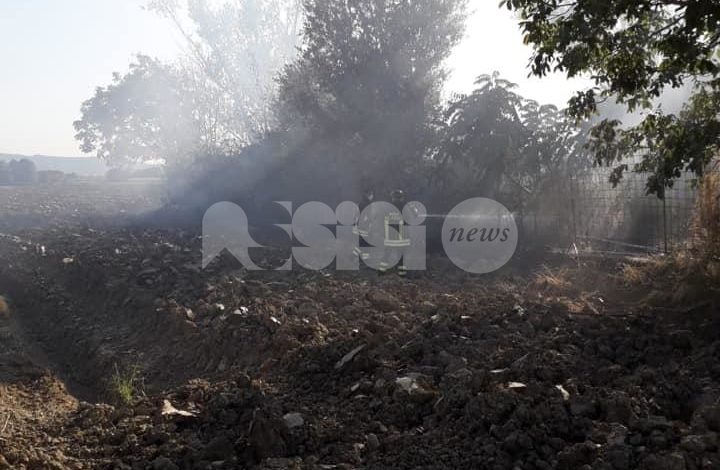 Incendio tra Petrignano e Bastia scoperto grazie al gruppo comunale di Protezione Civile di Assisi