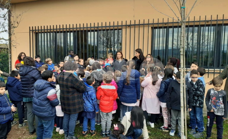 Festa dell’Albero 2019, la primaria Frondini pianta due aceri nel giardino scolastico