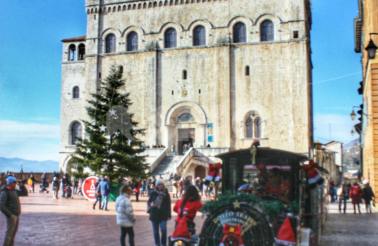 Albero Di Natale Piu Grande Del Mondo Gubbio.Natale A Gubbio 2019 2020 Il Programma Tra Albero Presepi E Mercatini Assisinews