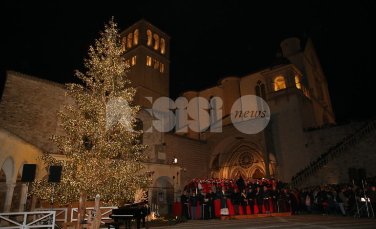 Acceso l’albero di Natale 2019 della Basilica di San Francesco ad Assisi (FOTO+VIDEO)