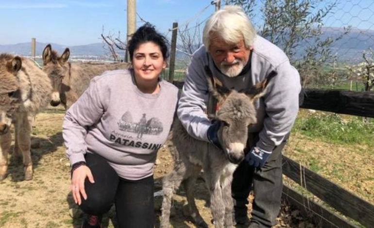 A Cannara nasce Italia: una femmina d’asino come messaggio di speranza