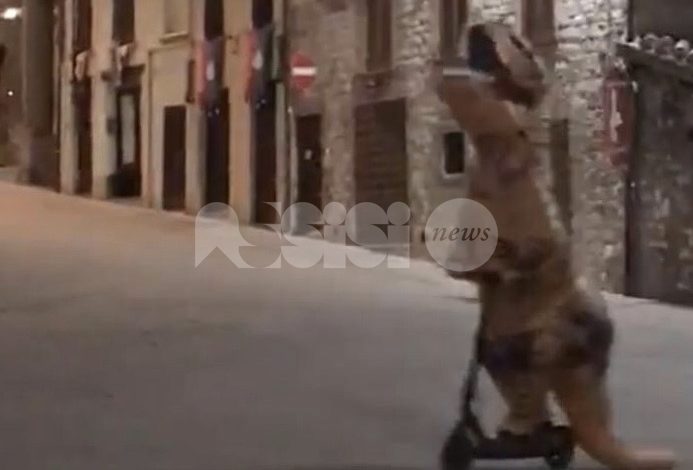 Dinosauro a Gubbio, nuovo ‘episodio’: stavolta è su due ruote (VIDEO)