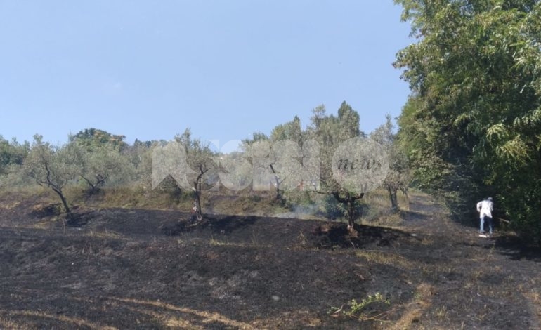 Incendio in un campo sotto l’ospedale di Assisi, denunciata una persona (foto+video)