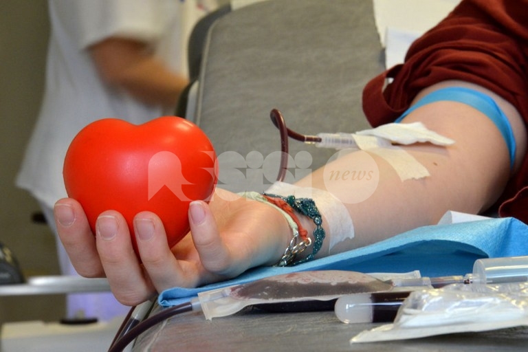 Calo delle donazioni di sangue, è allarme in Umbria: "A rischio assistenza efficace"