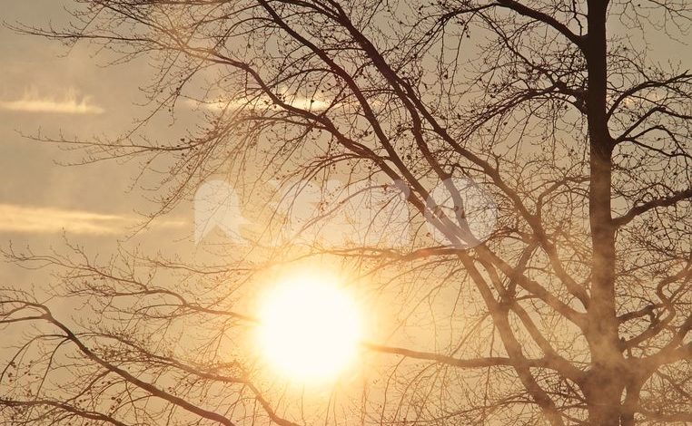 Meteo Assisi 18-20 dicembre 2020: sole e nebbia, le previsioni del weekend