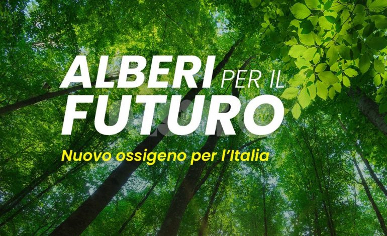 Alberi per il futuro 2021, ad Assisi appuntamento domenica 21