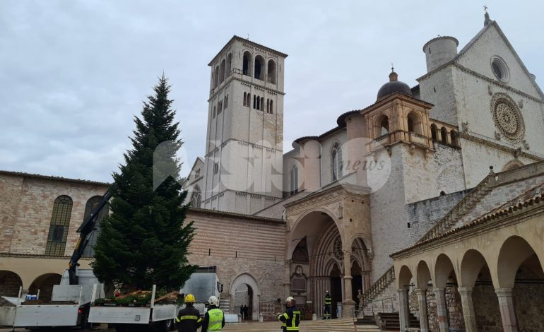 Natale ad Assisi, in città arrivano albero e presepe (foto+video)