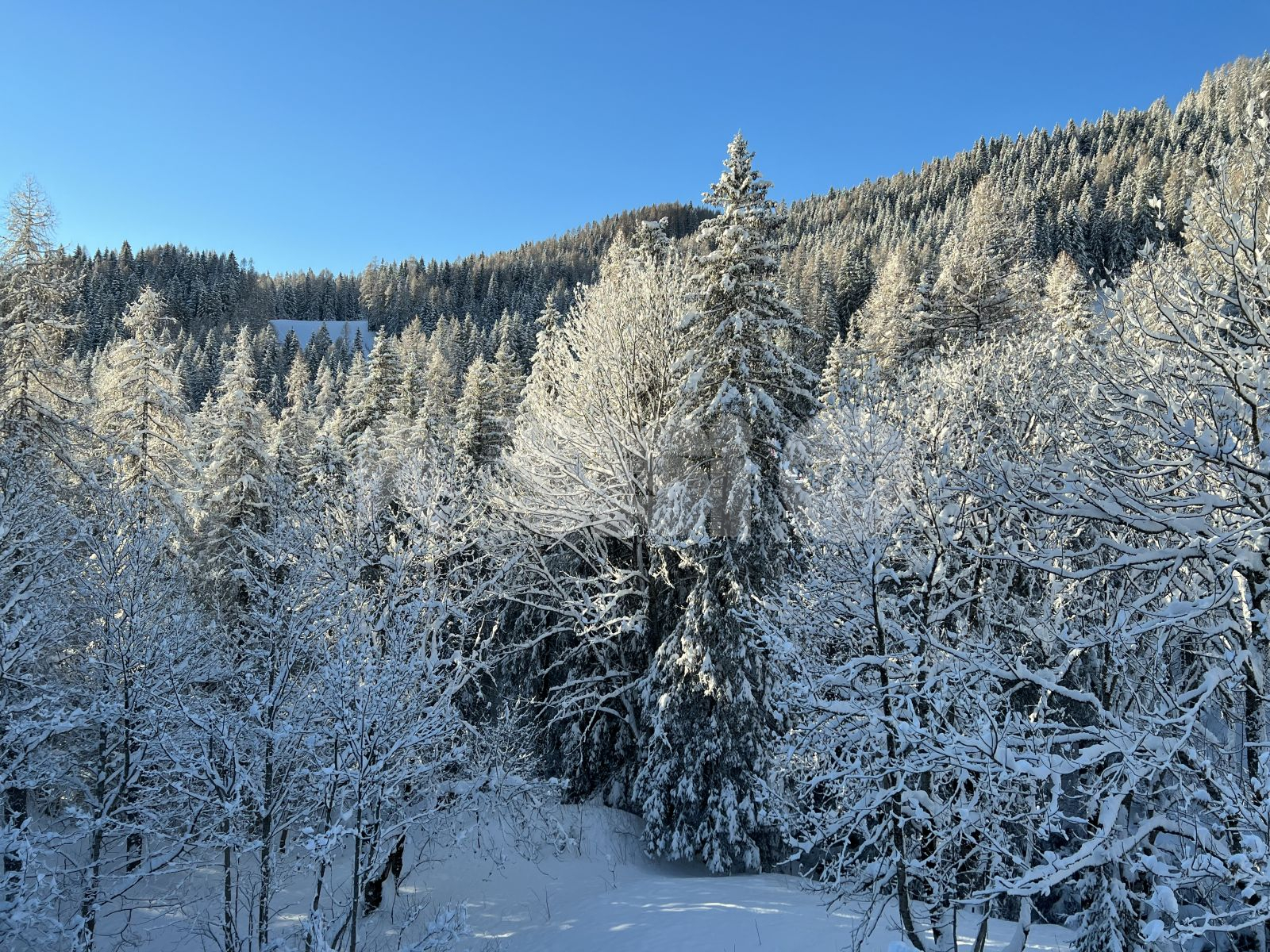Meteo Assisi 4-6 marzo 2022: ancora freddo, di nuovo neve ad alta quota