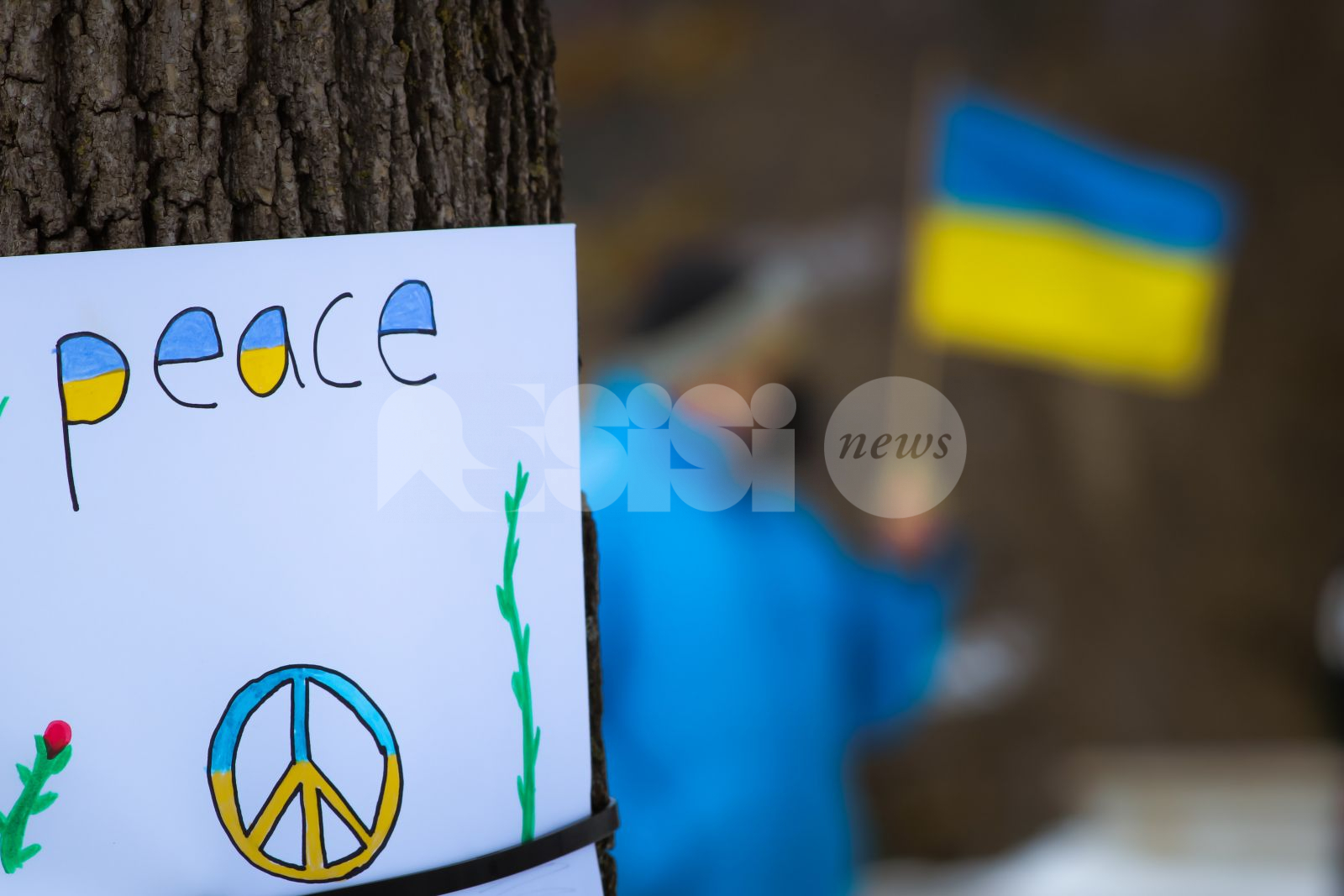 Ucraina e Russia "siedano ad Assisi per la pace": la proposta di Pastorelli
