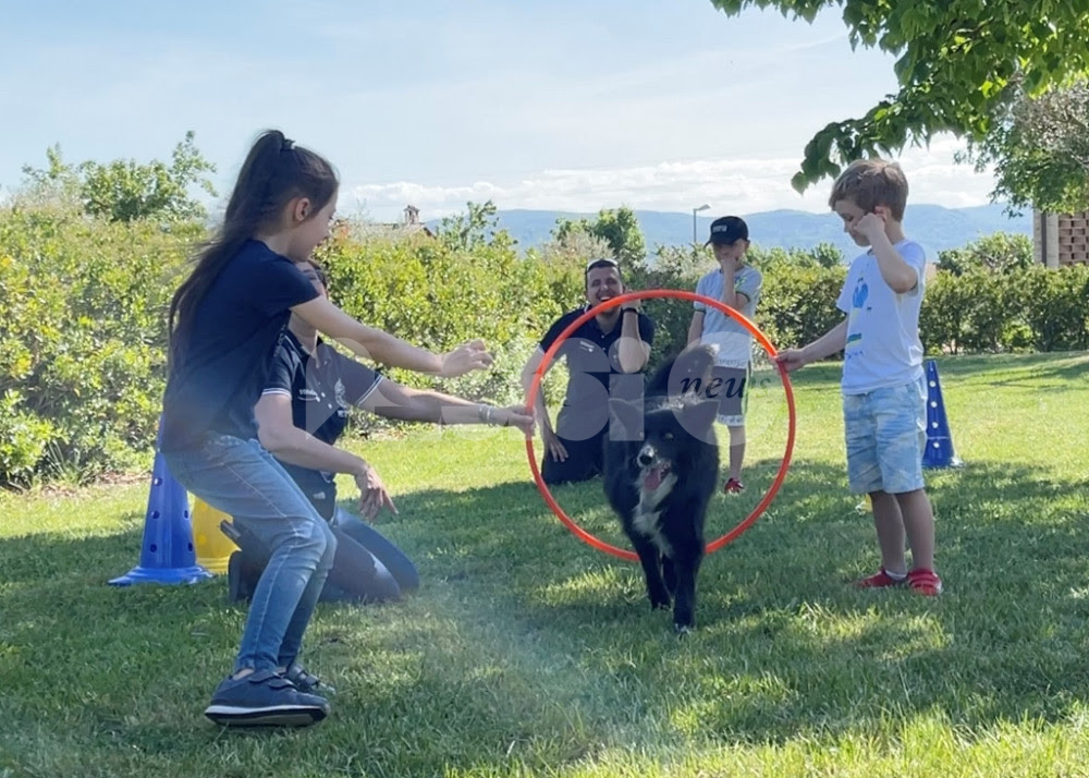 Ambra and Friends, ad Assisi un progetto dedicato ai bambini rifugiati, di attività ludiche insieme a cani professionisti