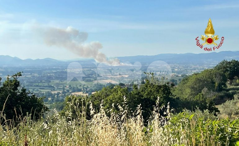 Incendio a Castelnuovo, fiamme in un campo di grano (foto)