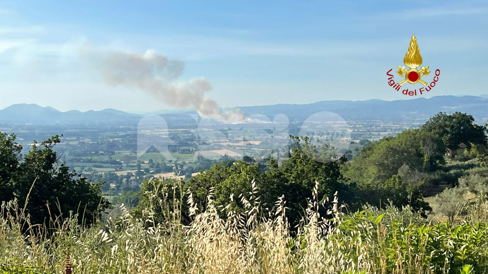 Incendio a Castelnuovo, fiamme in un campo di grano (foto)